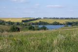 Острасьев Яр, image of landscape/habitat.