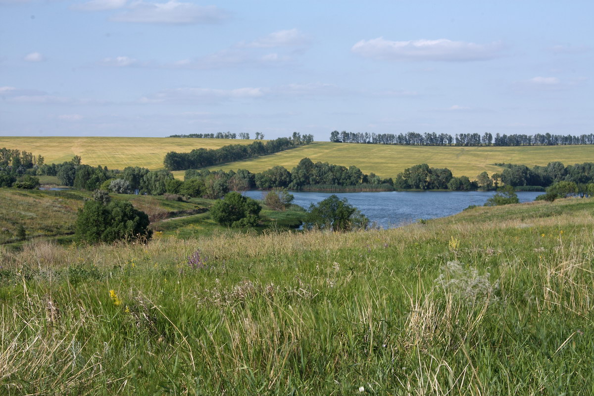 Острасьев Яр, image of landscape/habitat.