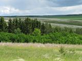 Кунгур, image of landscape/habitat.