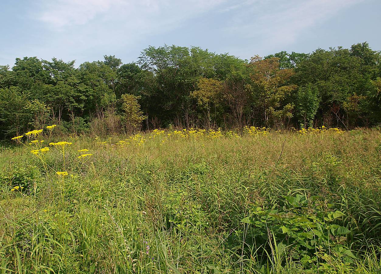 Кордон Карпадь, image of landscape/habitat.