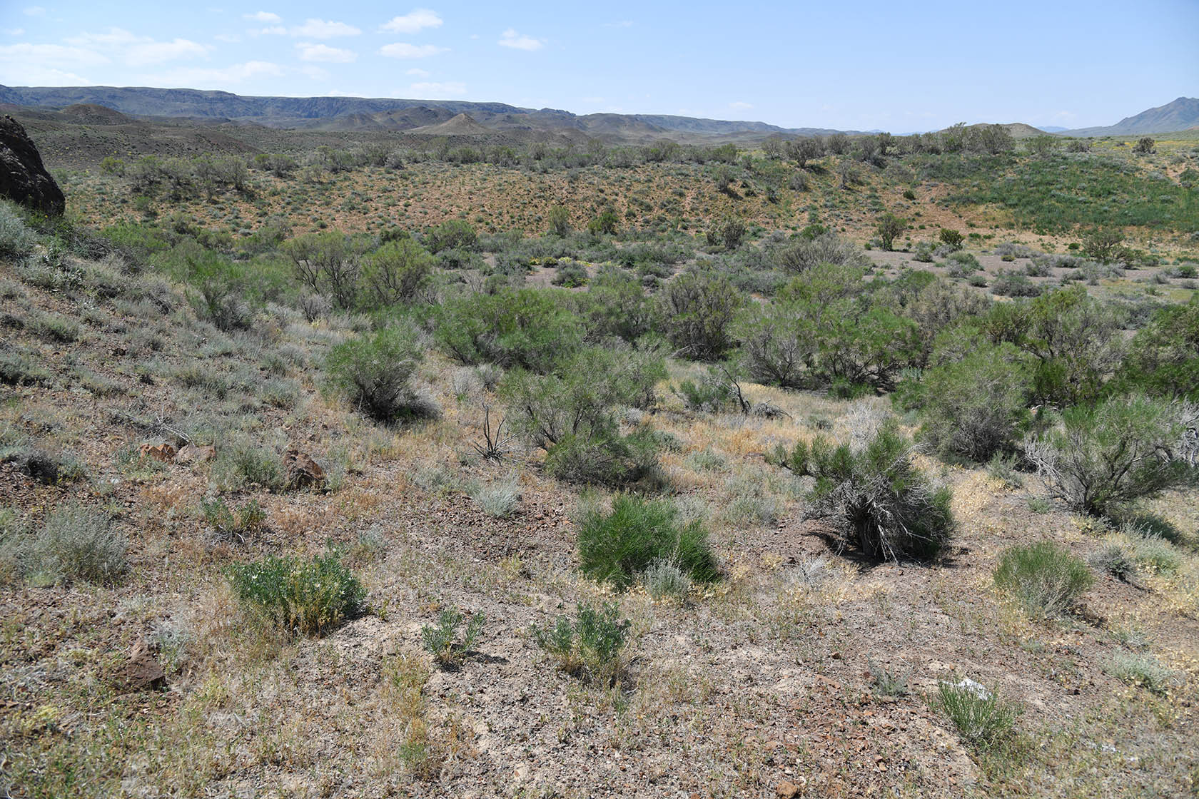 Горы Улькен-Богуты, image of landscape/habitat.