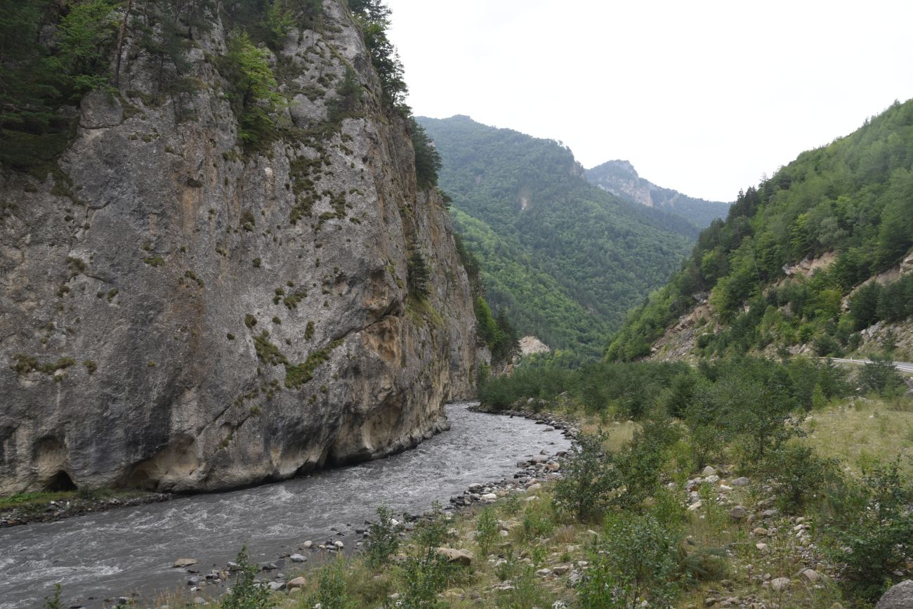 Окрестности устья реки Кенхи, image of landscape/habitat.