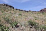 Image of landscape