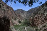 Image of landscape