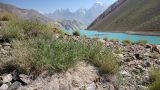 Image of landscape