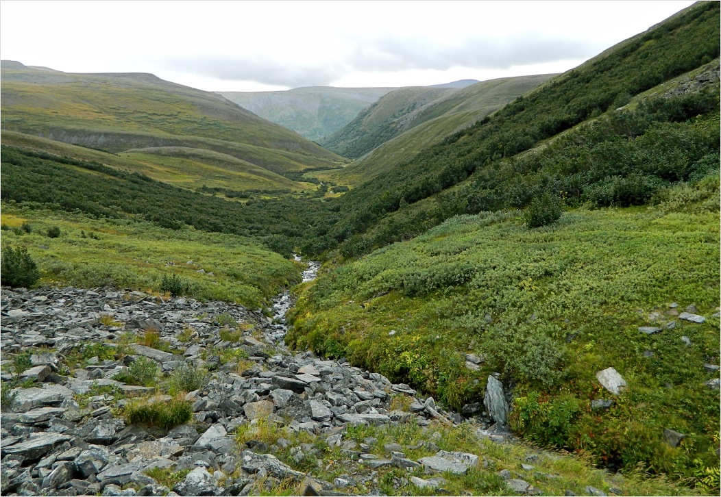 Ручей Двойной, image of landscape/habitat.