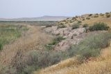 "Королевская дача", image of landscape/habitat.