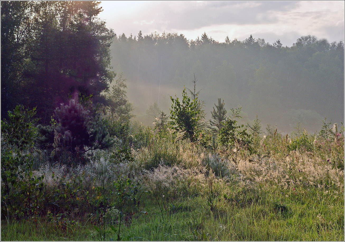 Окрестности Хрипани, изображение ландшафта.