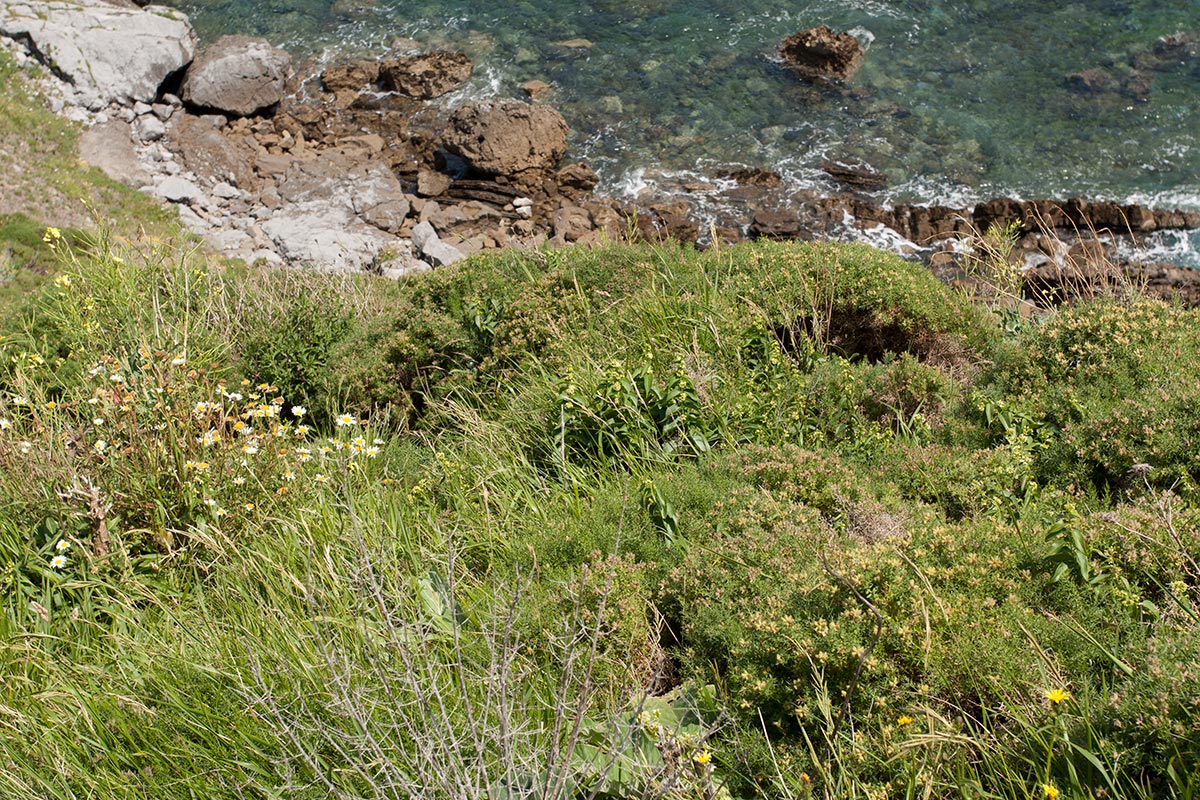 Гастелугаче, image of landscape/habitat.