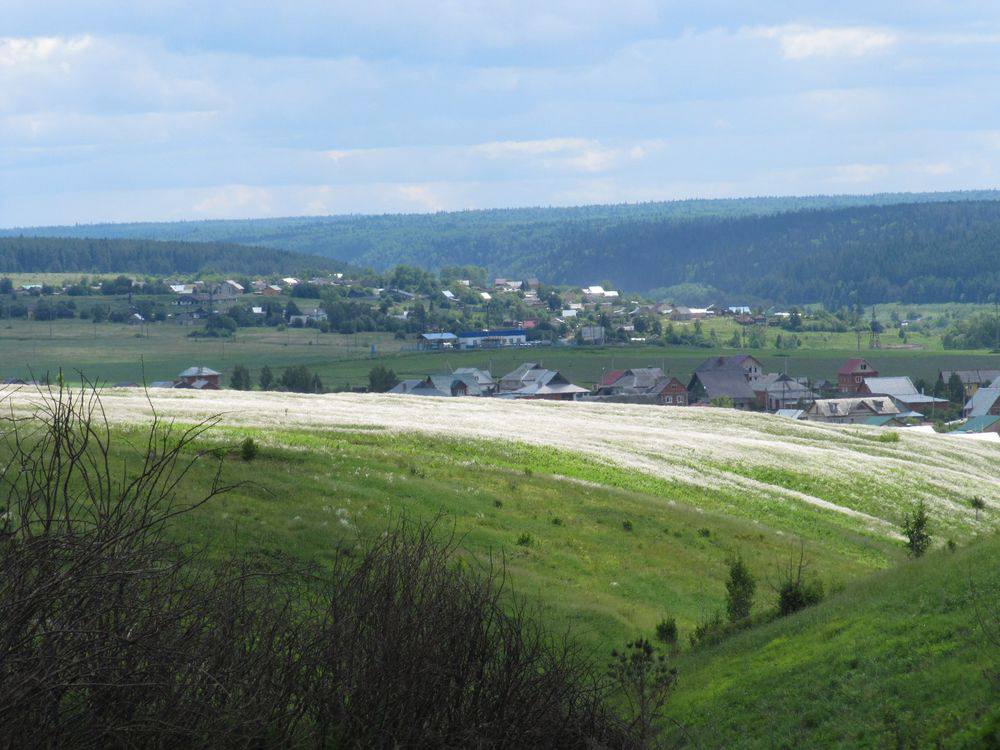 Кунгур, image of landscape/habitat.