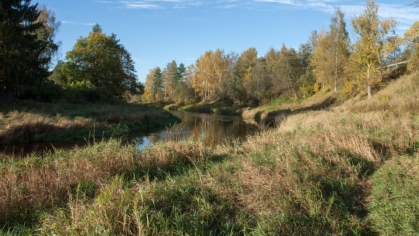 Дачное на Мге, image of landscape/habitat.