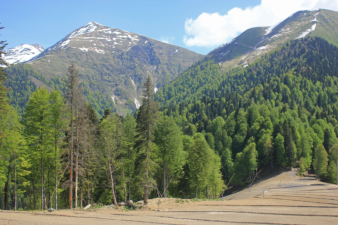 Хребет Псехако, image of landscape/habitat.