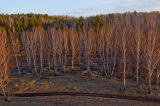 Окрестности деревни Бекленищева, image of landscape/habitat.