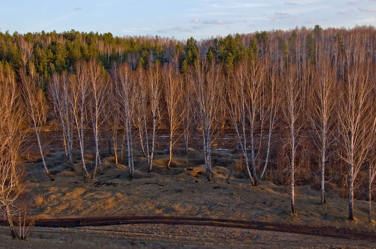 Окрестности деревни Бекленищева, image of landscape/habitat.