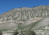 Image of landscape