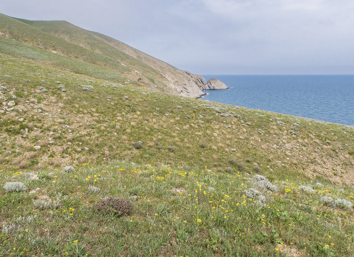 Киик-Атлама, image of landscape/habitat.