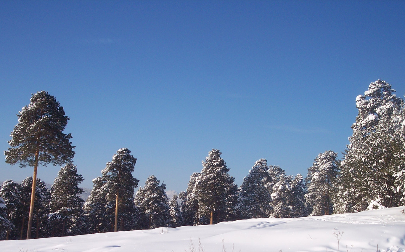 Окрестности Белорецка, image of landscape/habitat.