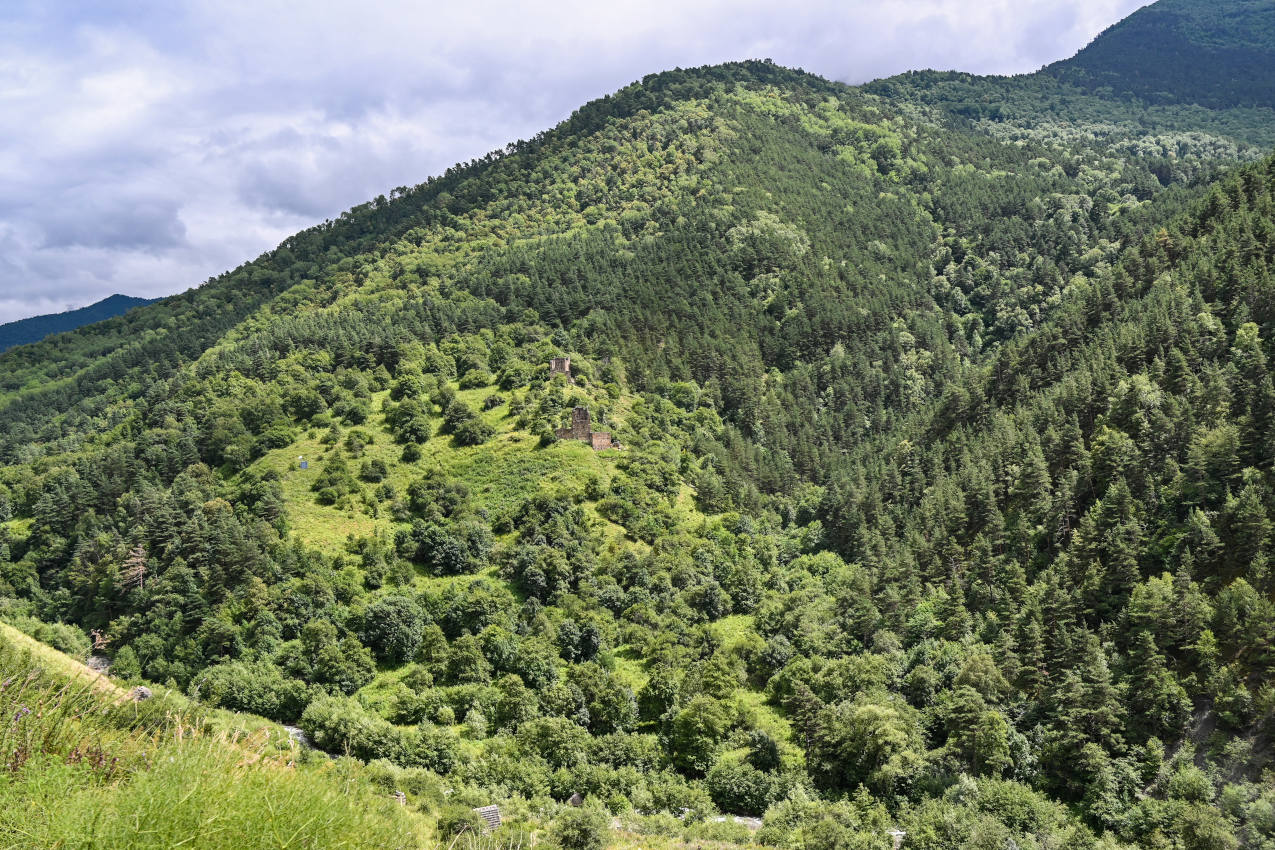 Вовнушки, image of landscape/habitat.