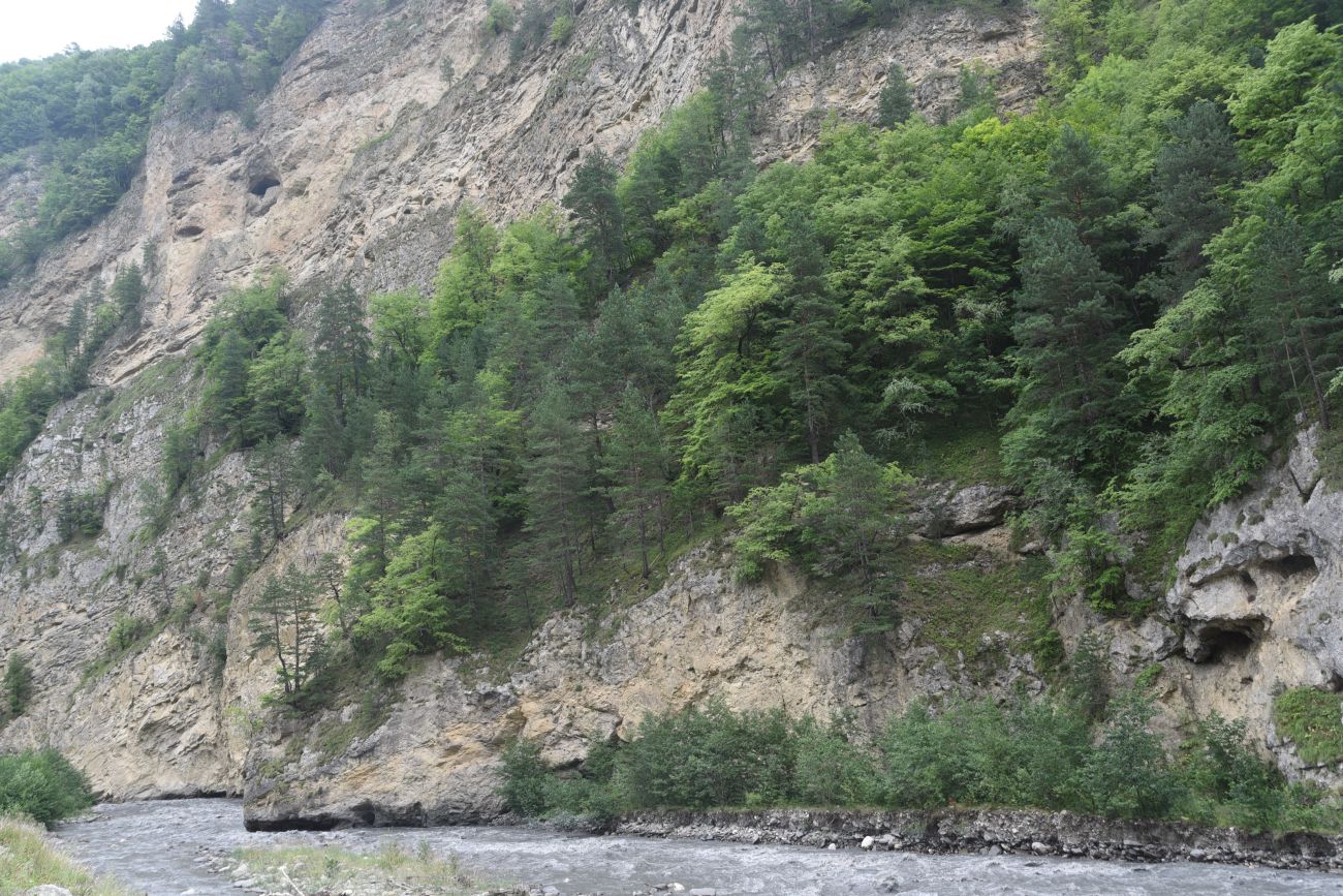 Окрестности устья реки Кенхи, image of landscape/habitat.