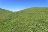 Image of landscape