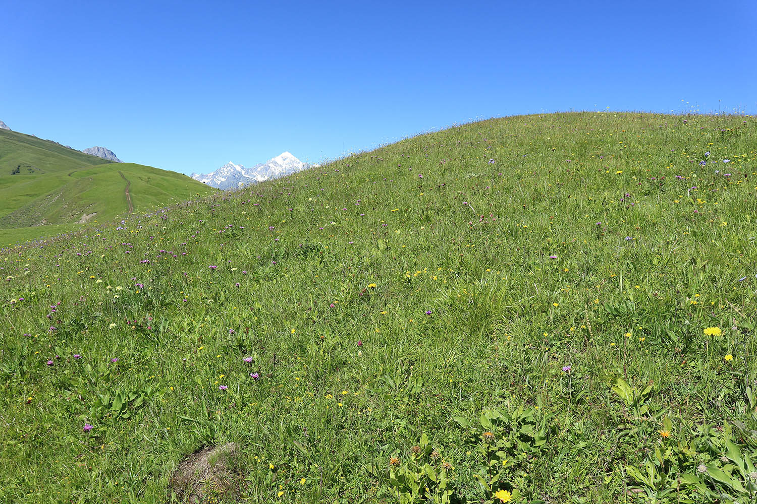 Айдарука-Цырт, image of landscape/habitat.