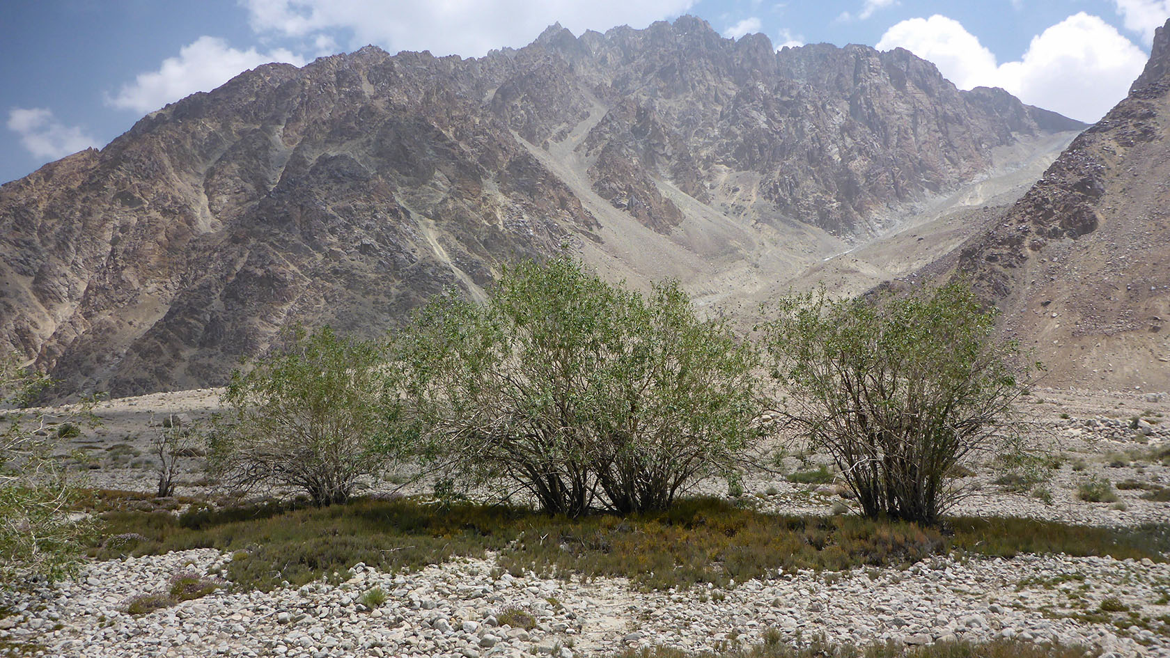 Ирхтский залив, image of landscape/habitat.