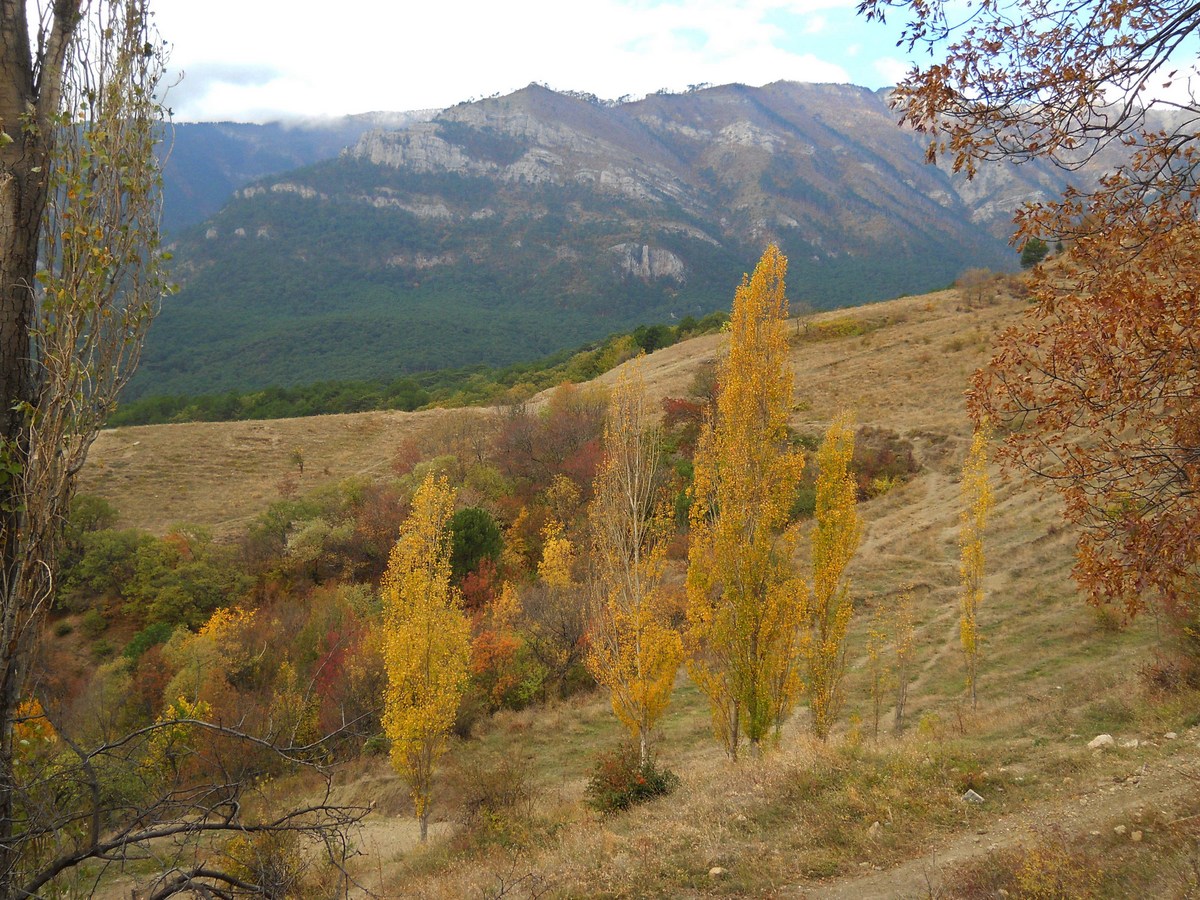 Ялта и окрестности, image of landscape/habitat.