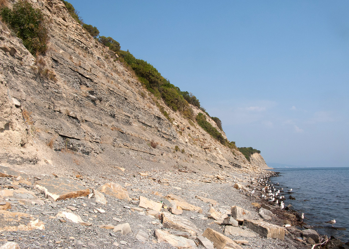 Широкая Балка, image of landscape/habitat.