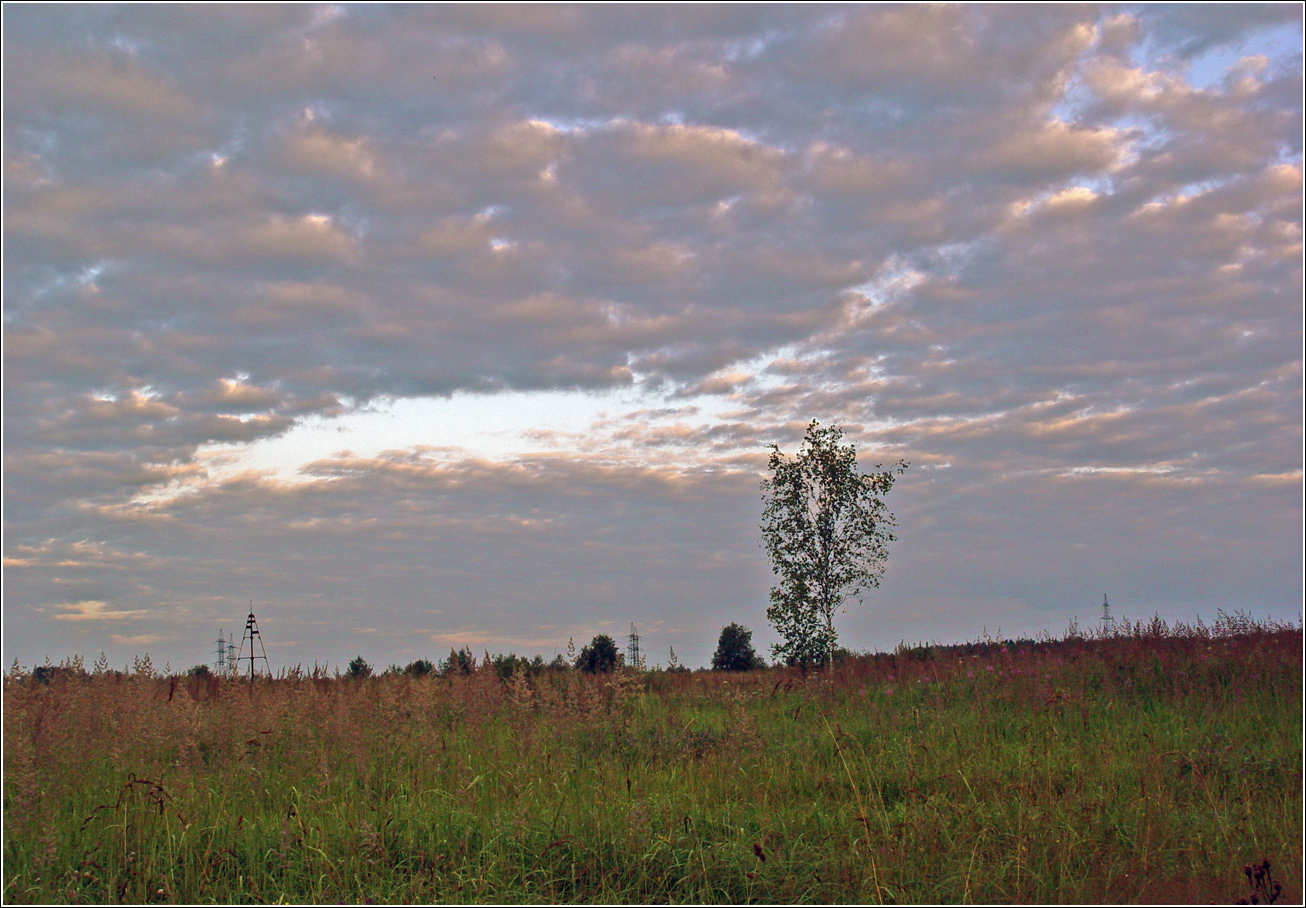 Окрестности Хрипани, изображение ландшафта.