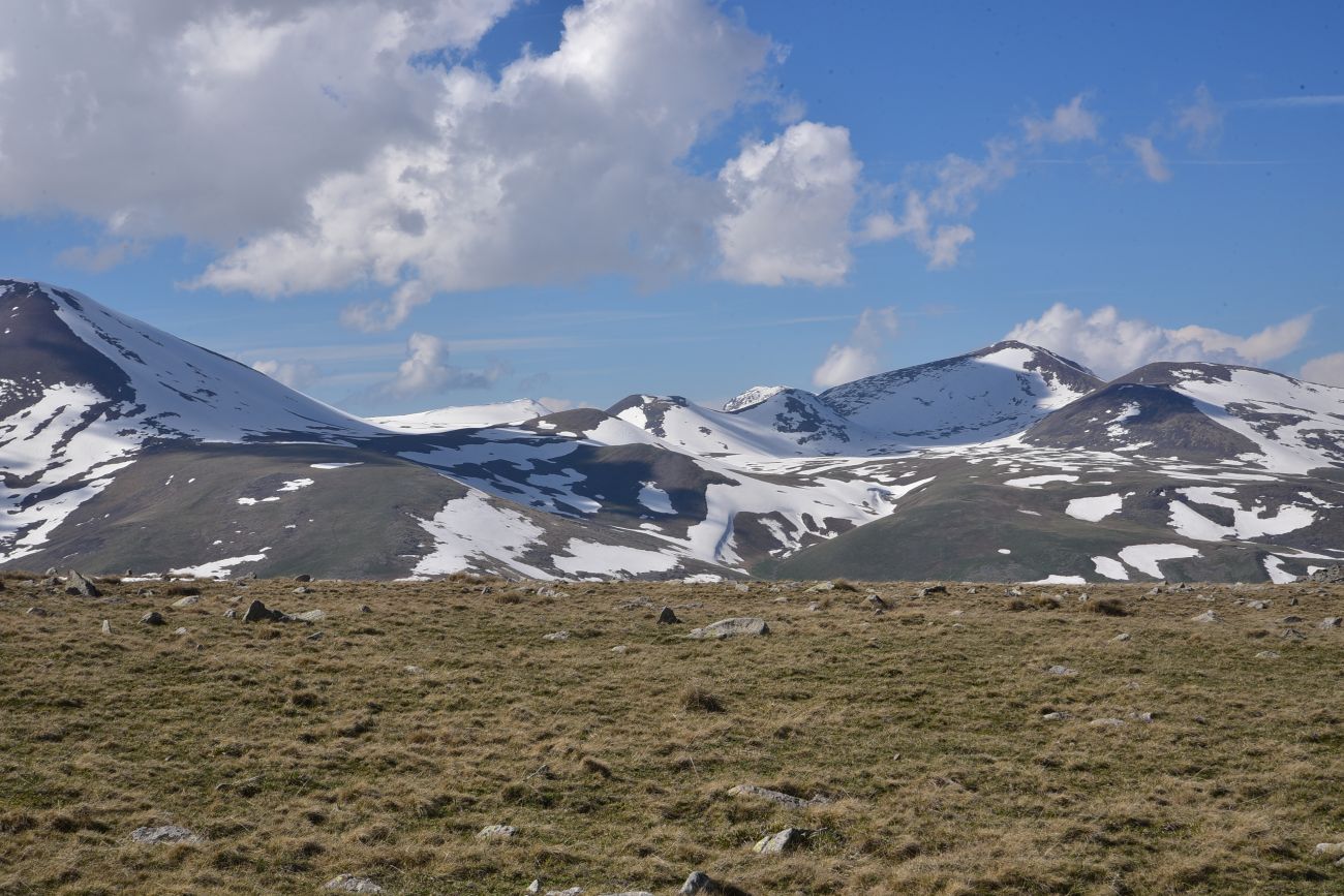 Гора Диди Абули, image of landscape/habitat.