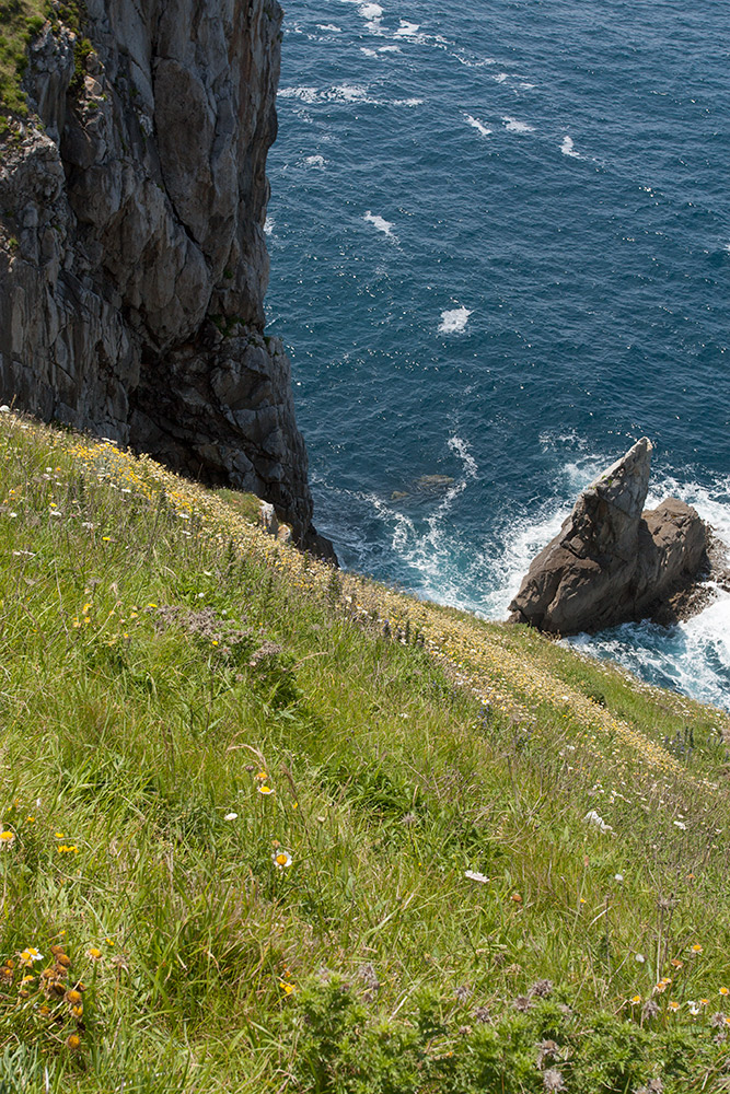 Гастелугаче, image of landscape/habitat.