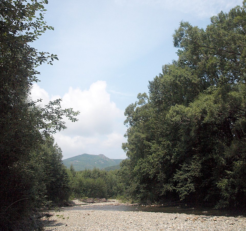 Кордон Карпадь, image of landscape/habitat.