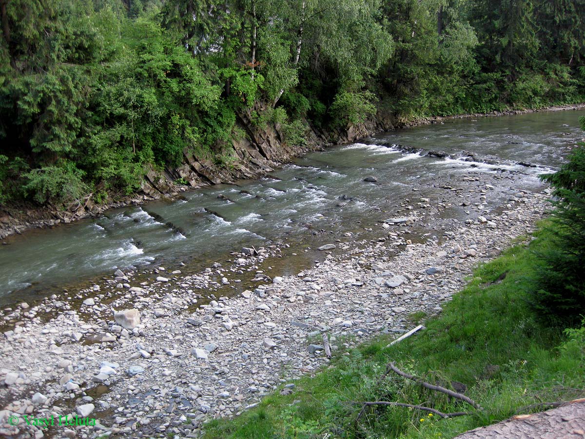 Заповедник "Горганы", Максимец, image of landscape/habitat.