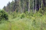 Окрестности Хрипани, image of landscape/habitat.