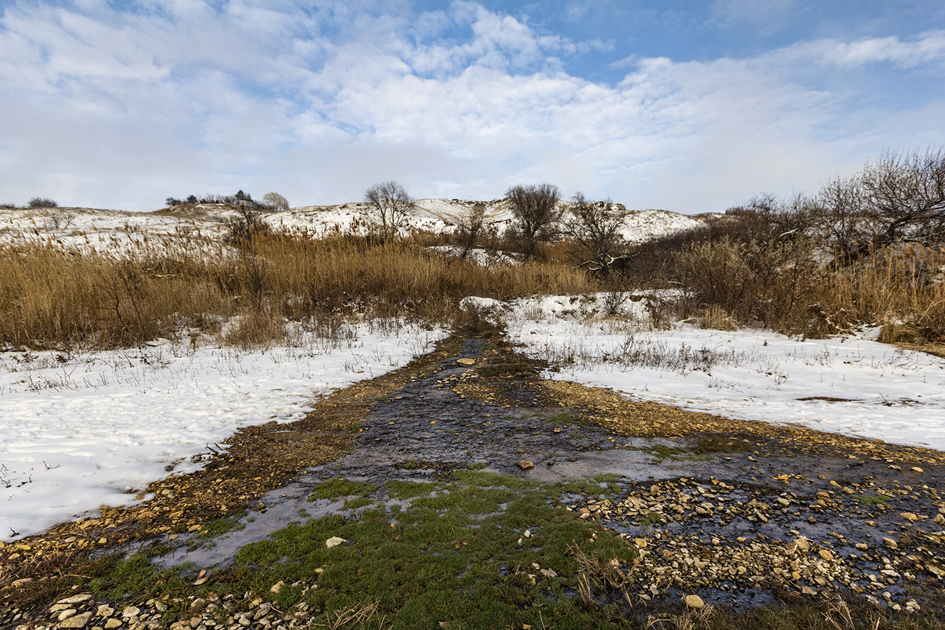 Мержаново, image of landscape/habitat.