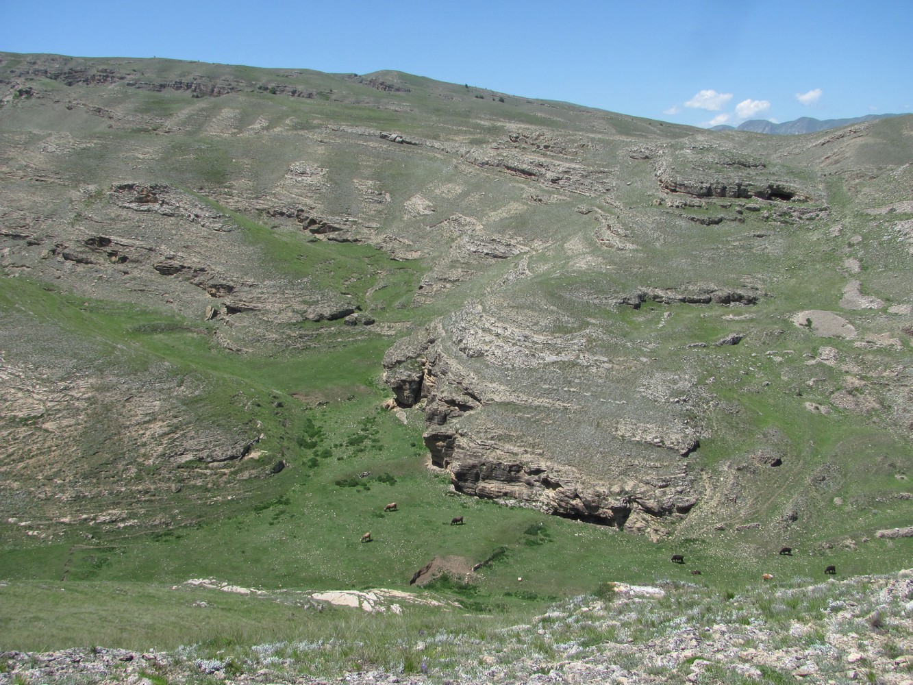 Леваши, image of landscape/habitat.