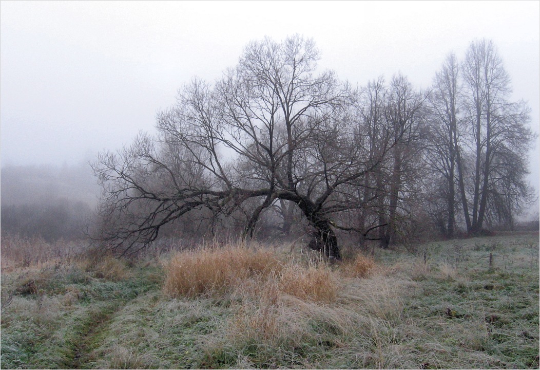 Каспля, image of landscape/habitat.