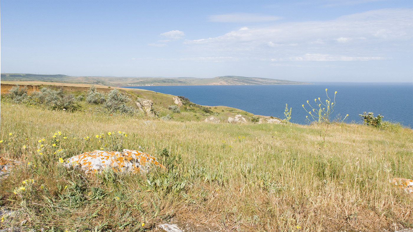 Мыс Газан, image of landscape/habitat.