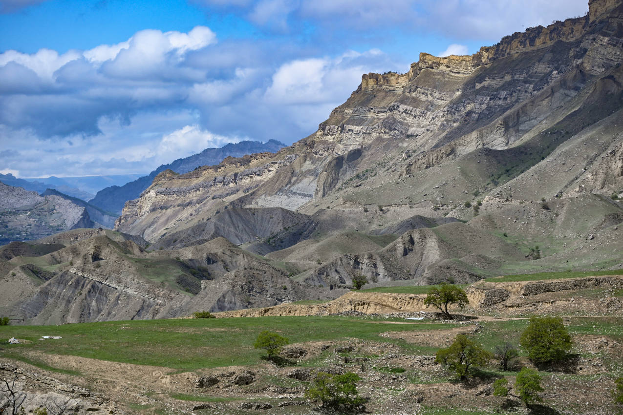 Окрестности села Чох, image of landscape/habitat.