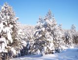 Окрестности Белорецка, image of landscape/habitat.