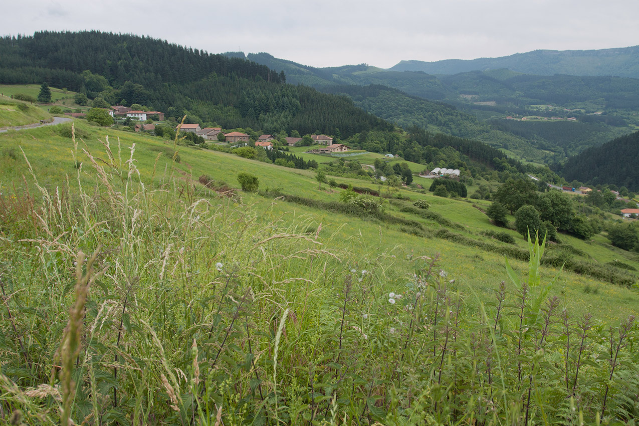 Арратия, изображение ландшафта.