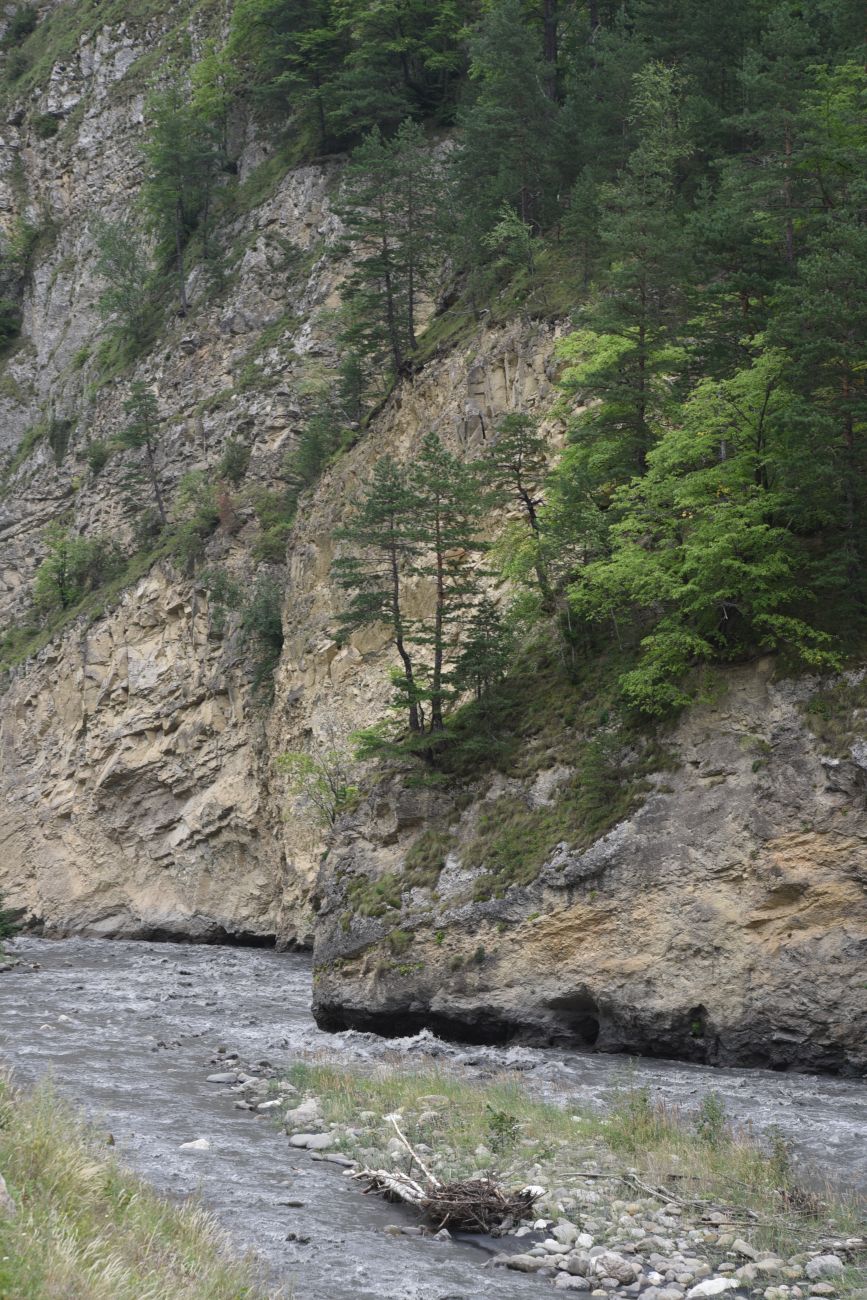 Окрестности устья реки Кенхи, image of landscape/habitat.