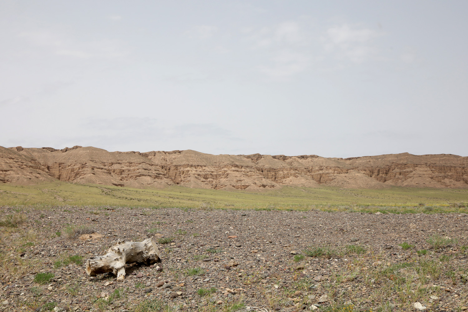 Долина реки Чарын близ Чунджы, image of landscape/habitat.