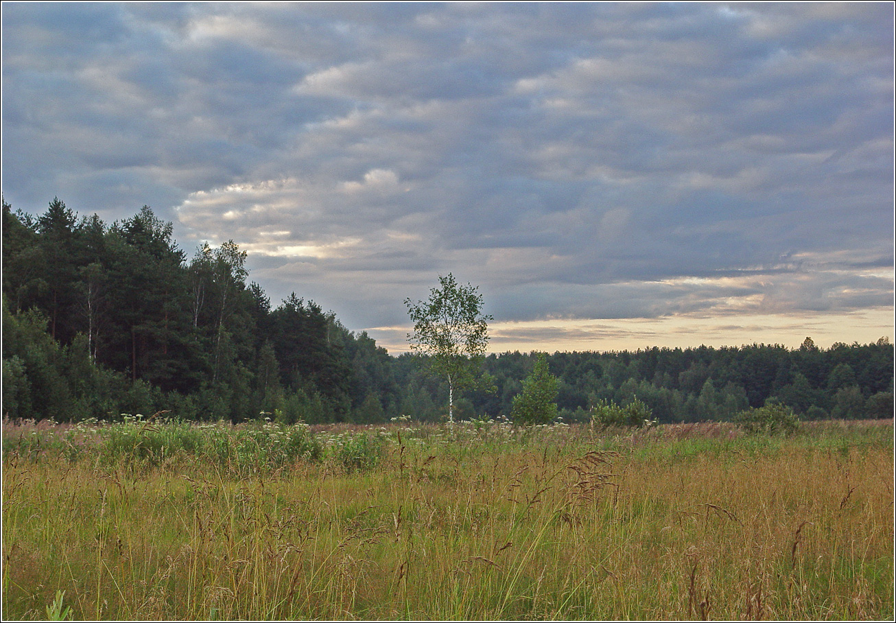 Окрестности Хрипани, изображение ландшафта.