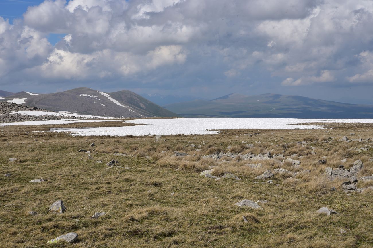 Гора Патара Абули, image of landscape/habitat.