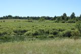 Image of landscape