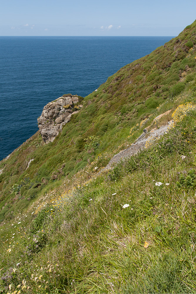 Гастелугаче, image of landscape/habitat.