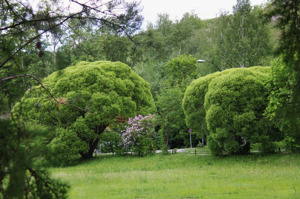 Кунгур, изображение ландшафта.