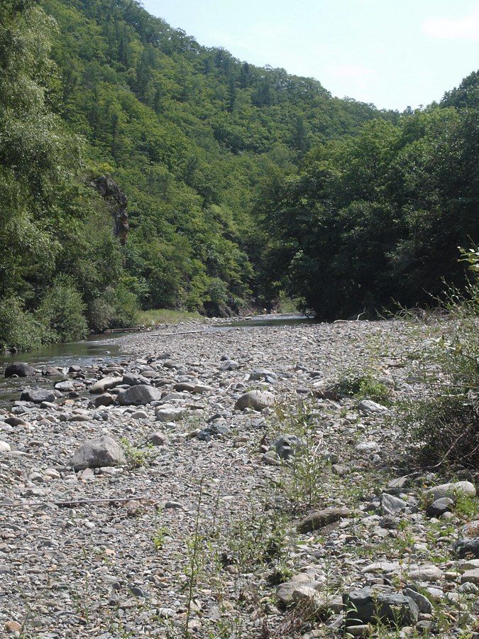 Кордон Карпадь, image of landscape/habitat.