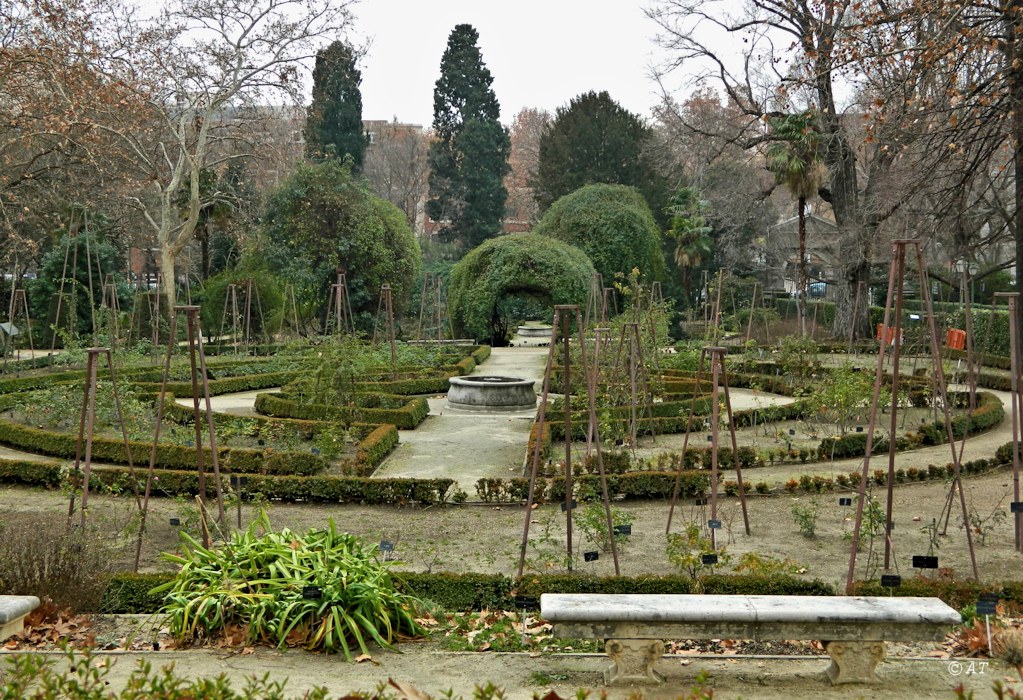 Real Jardín Botánico de Madrid, image of landscape/habitat.